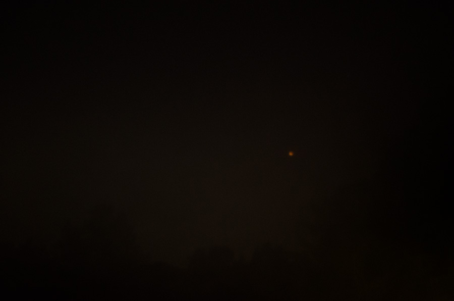 DSC 1389