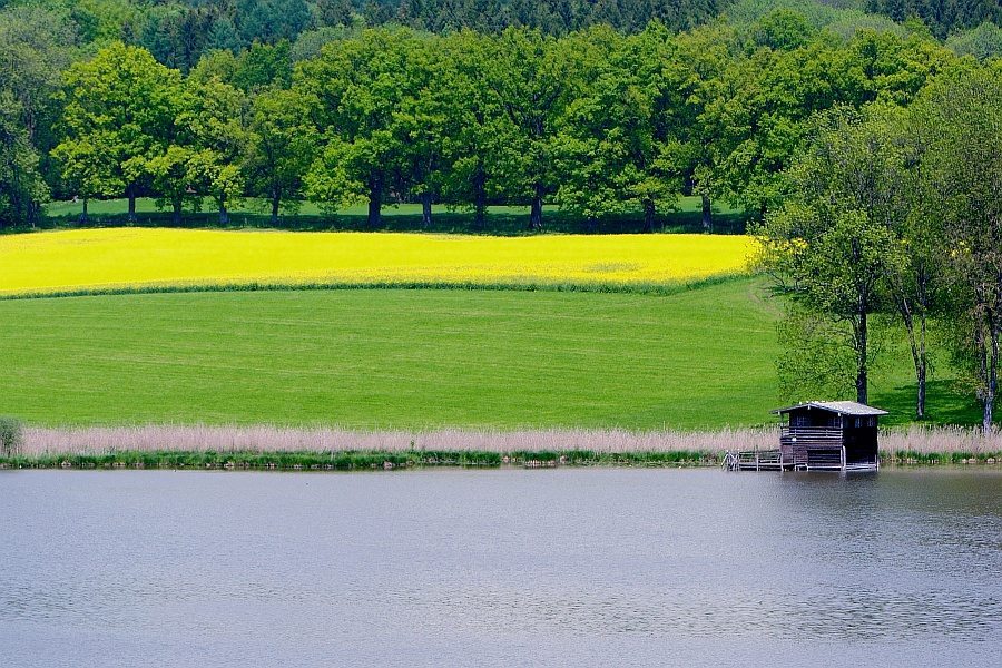 DSC 1403 900