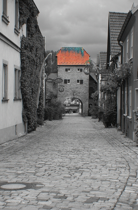 DSC 1405S