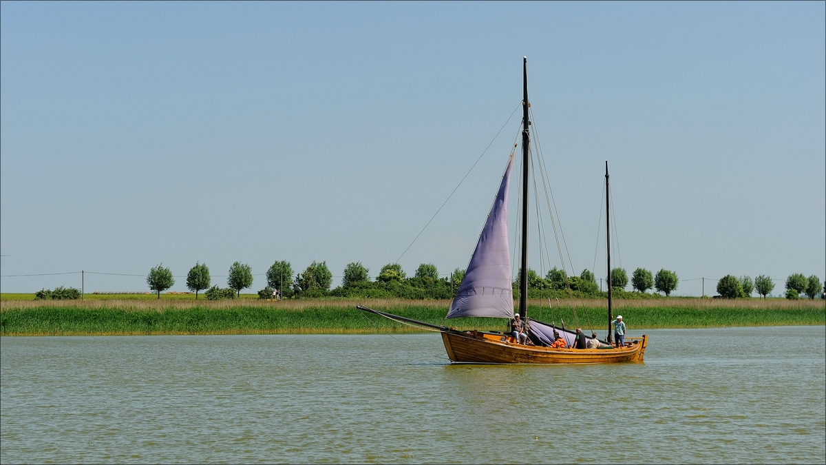 DSC 14339   Wustrow