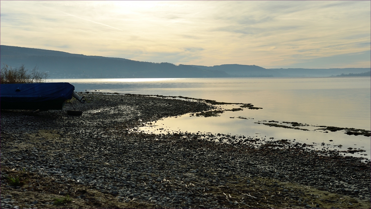 DSC 14440   Reichenau