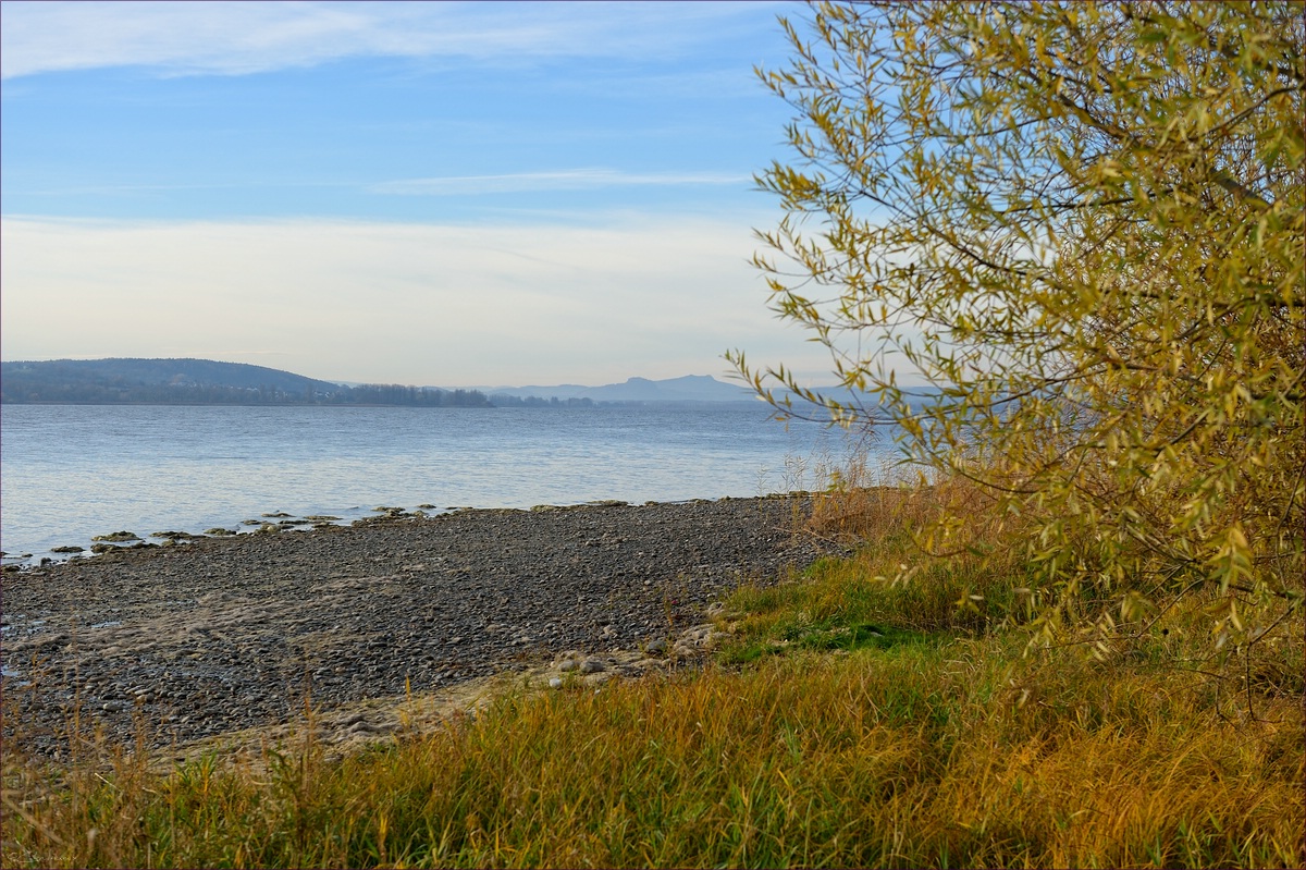 DSC 14443   Reichenau