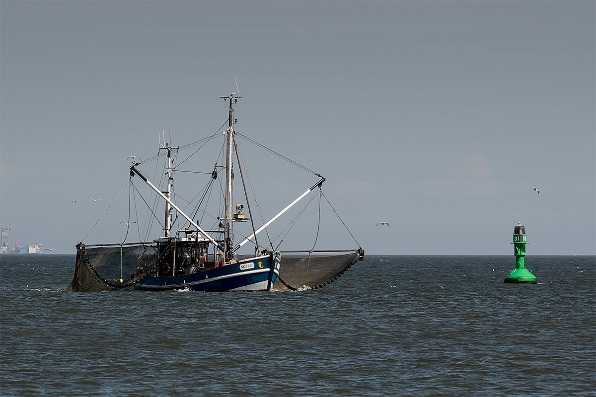 DSC 1464
2017