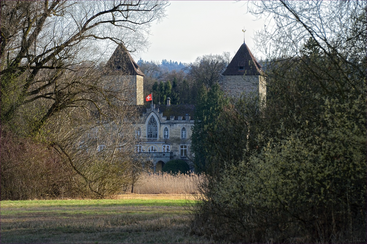 DSC 14644   Schloss Gottlieben