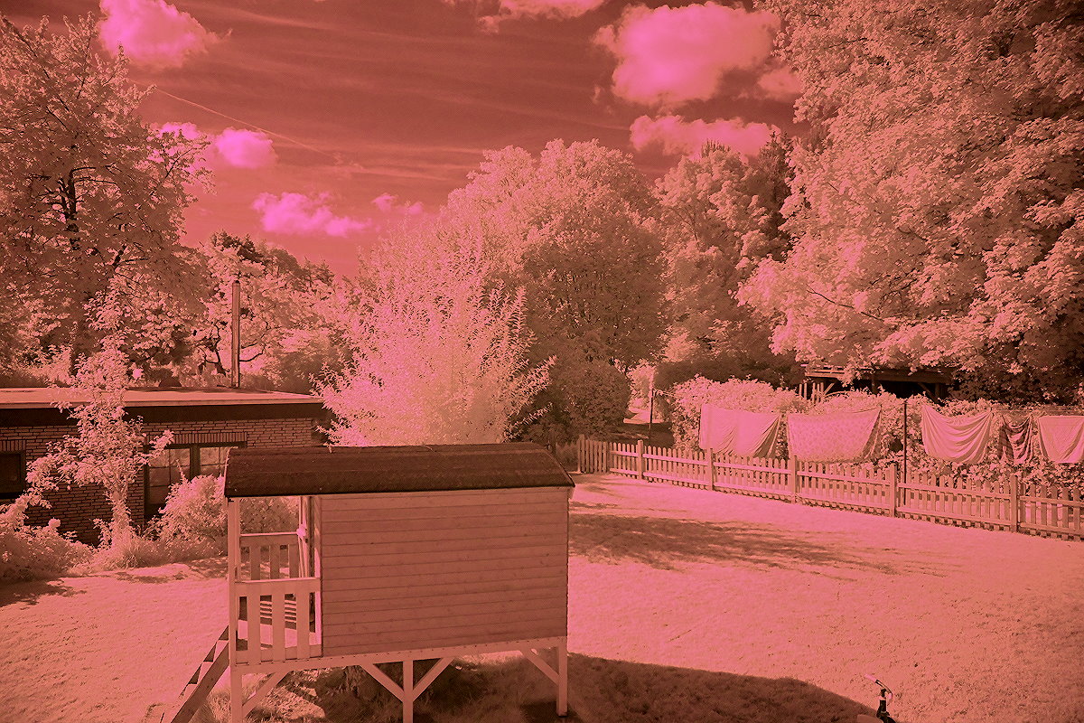 DSC 1468