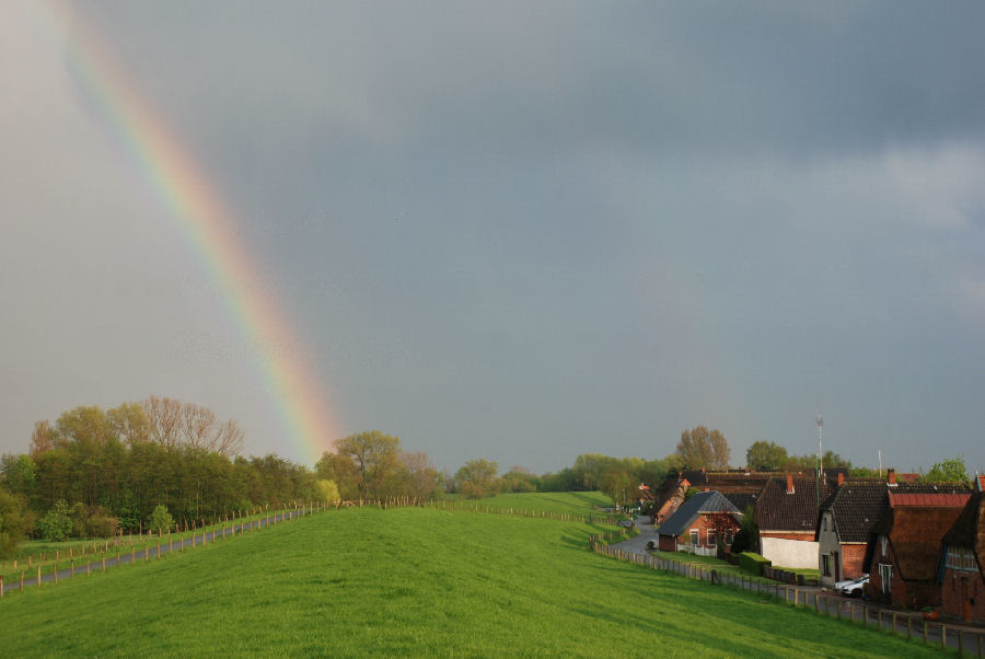 DSC 14830005