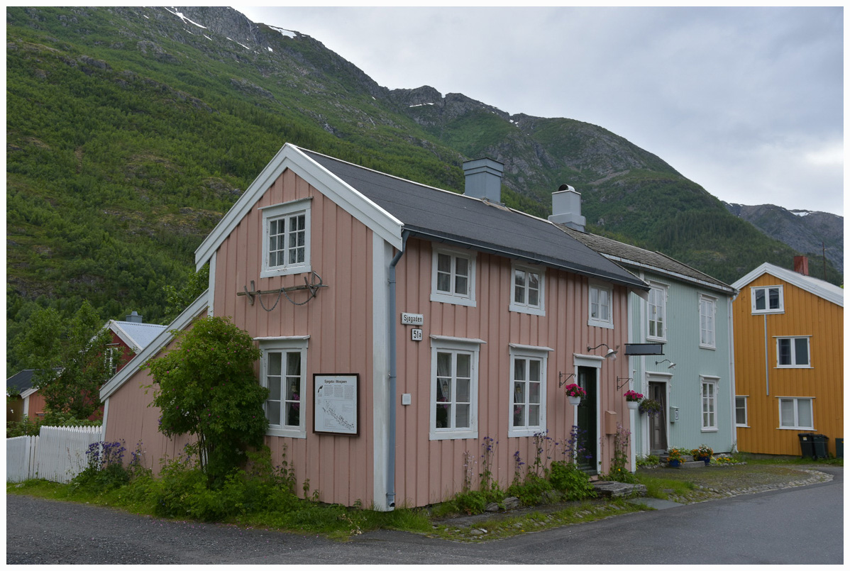 DSC 1495