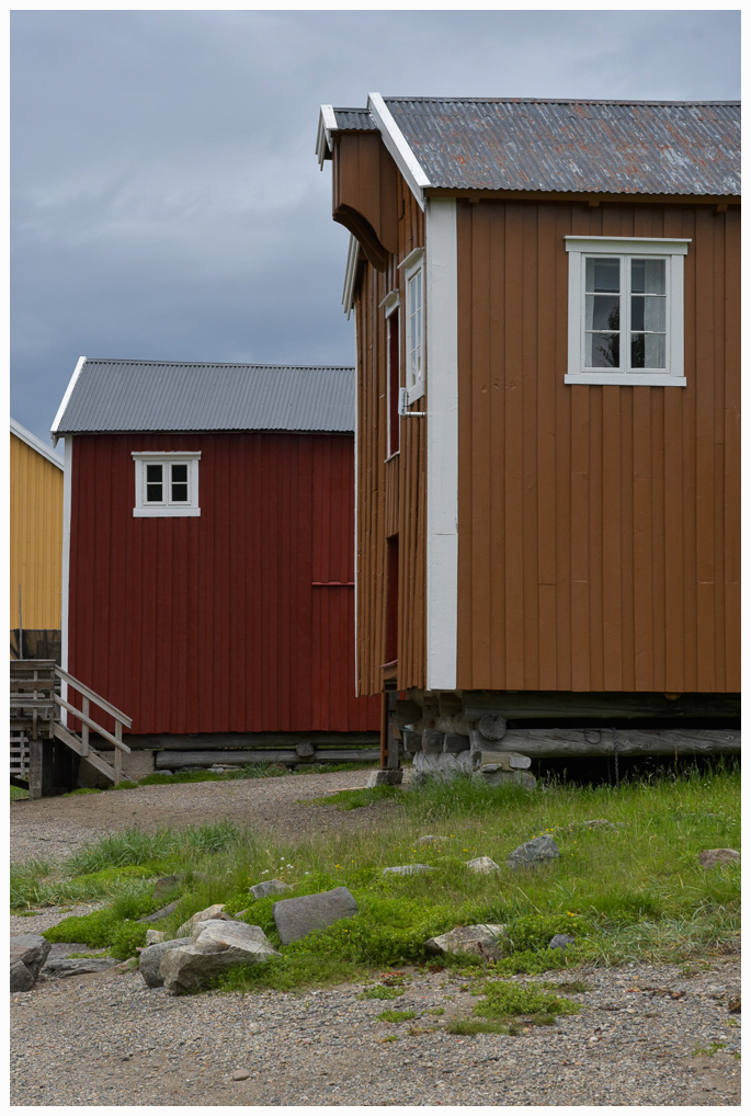DSC 1503