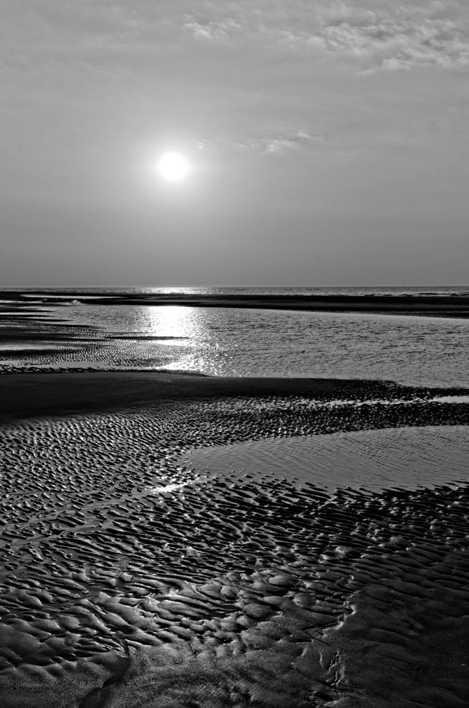 DSC 1508 DxO.1 2