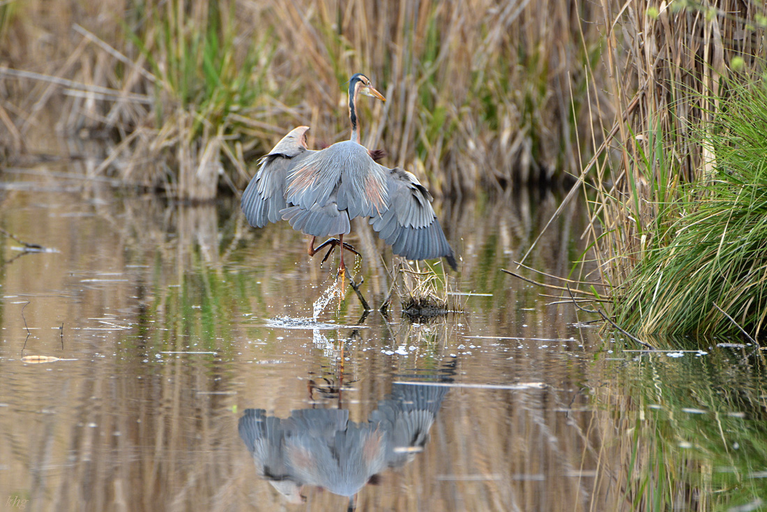 DSC 1508 Wasser