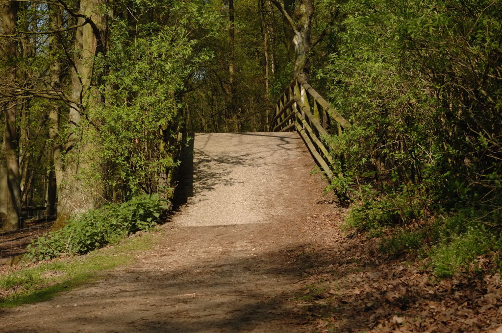 DSC 1515