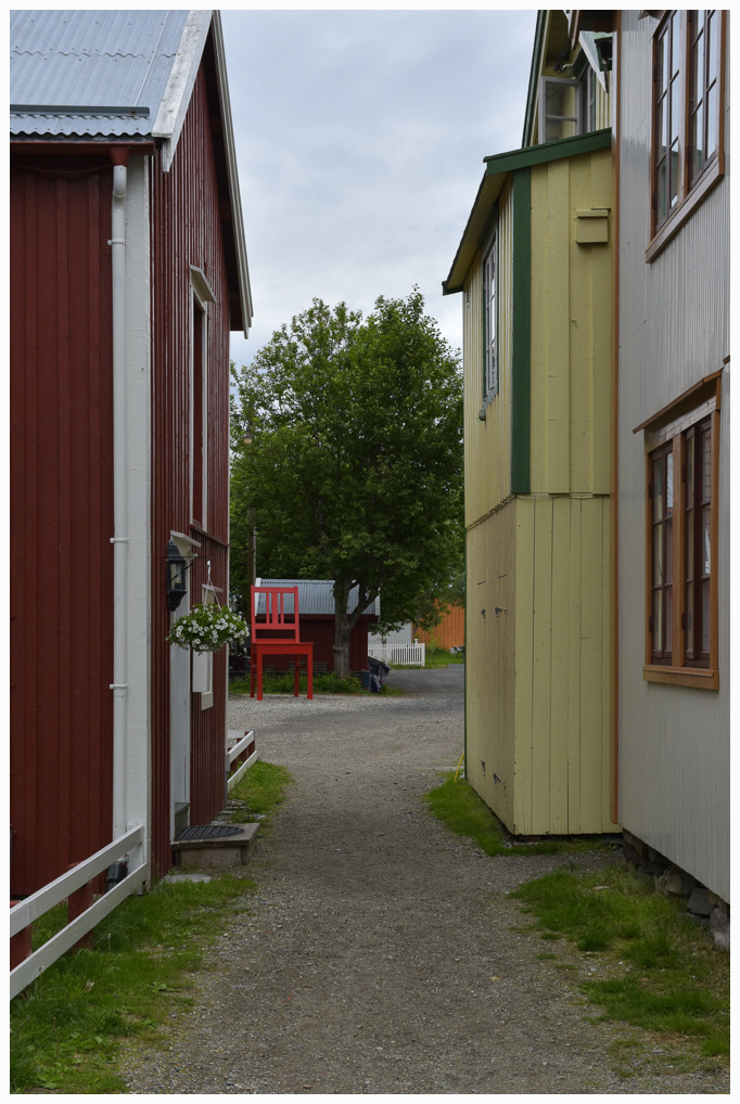 DSC 1518