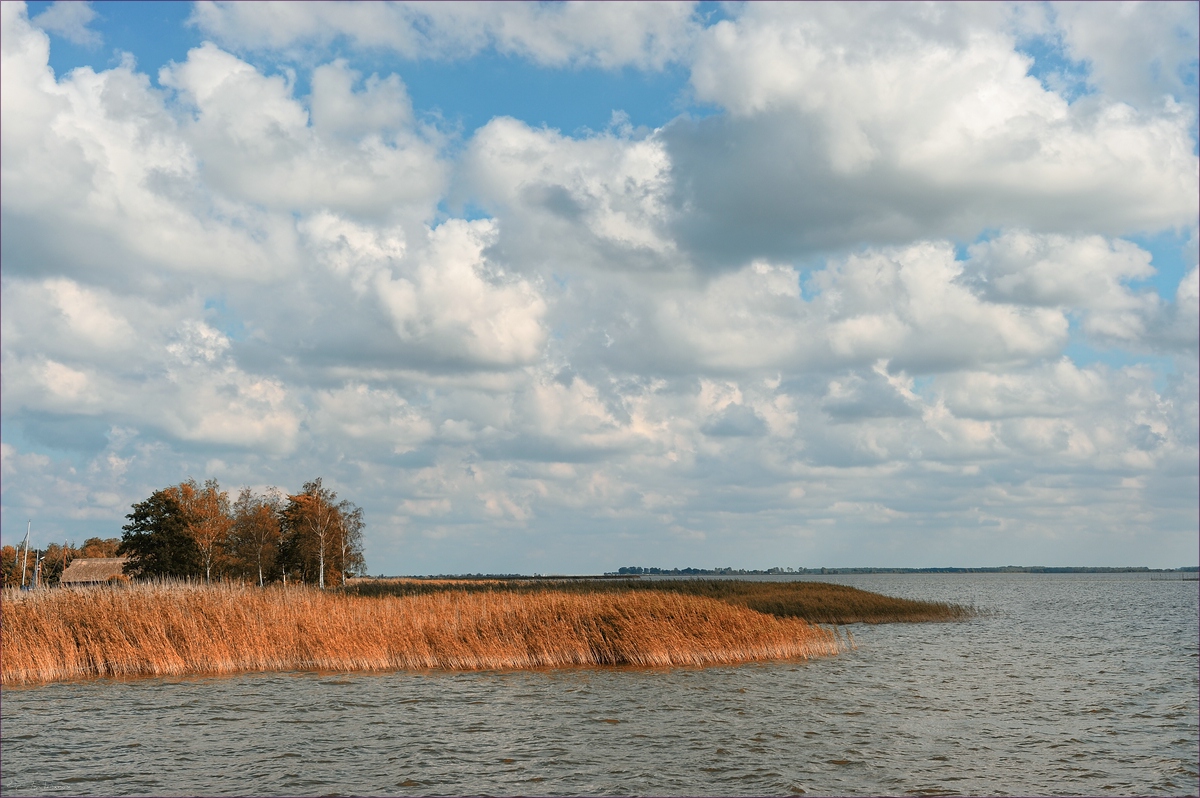 DSC 15219   Wieck