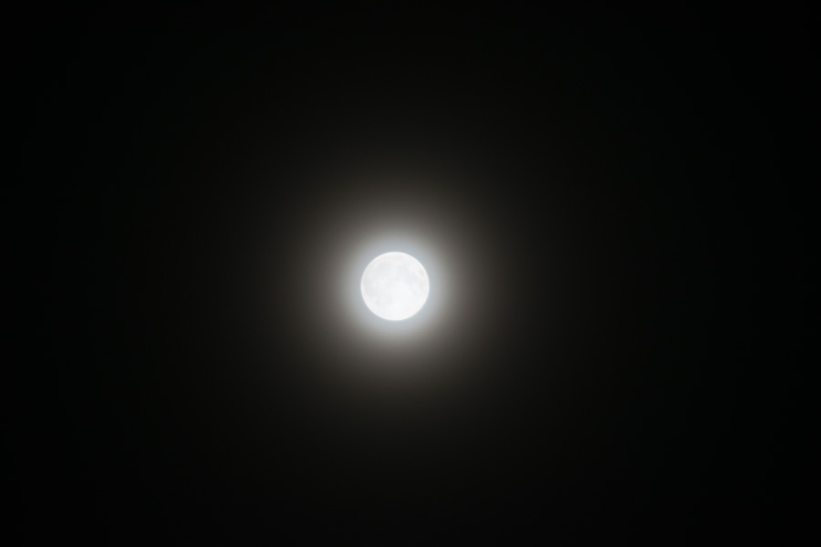 DSC 1536