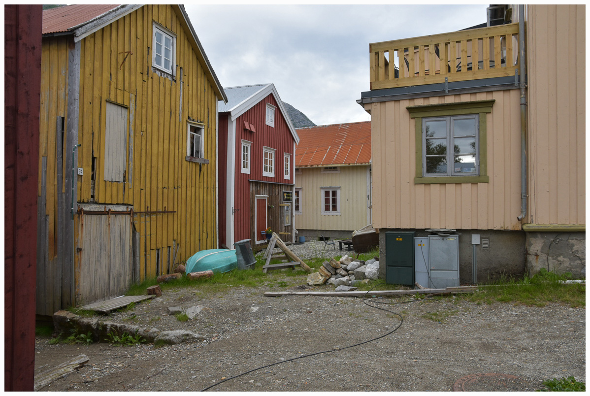 DSC 1546