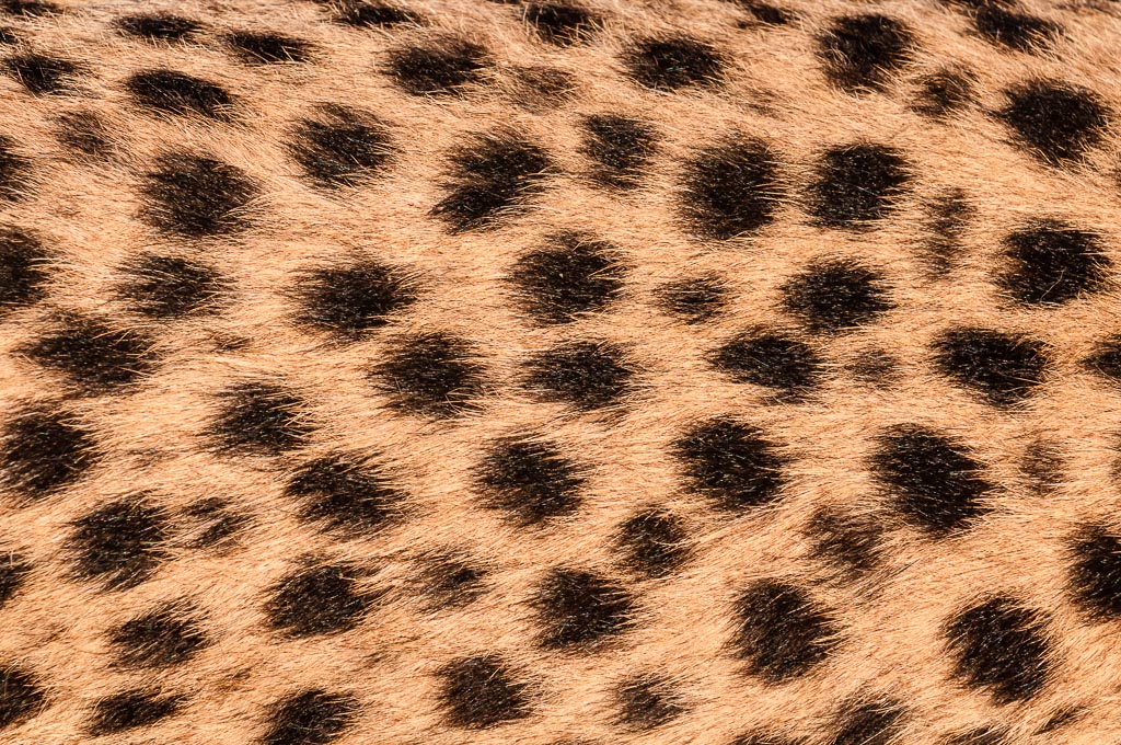 DSC 1556