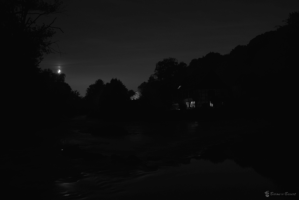 DSC 1601sw