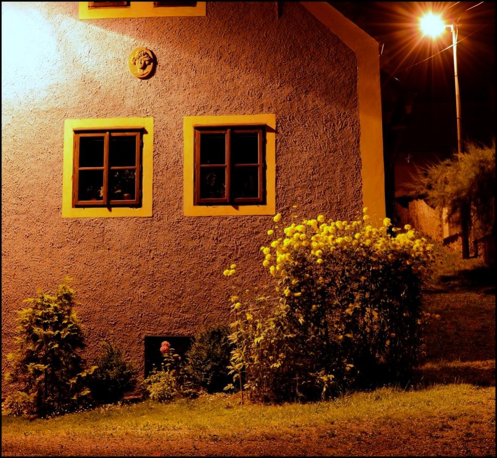 DSC 1629a