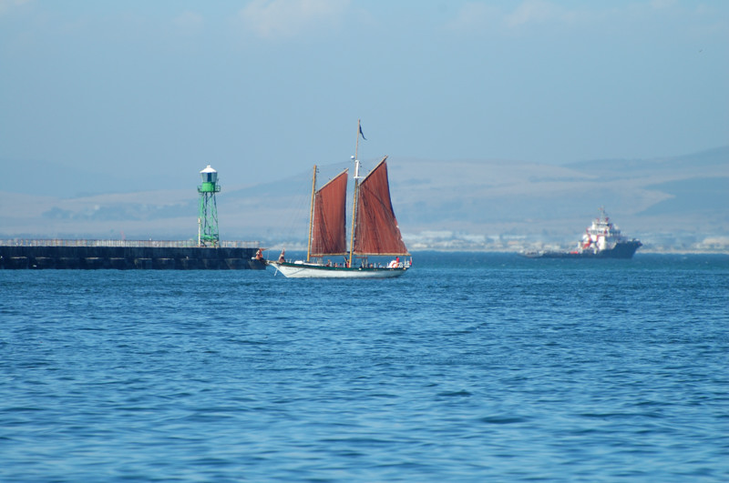 DSC 1664