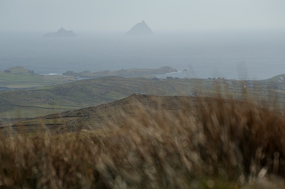 DSC 1670a