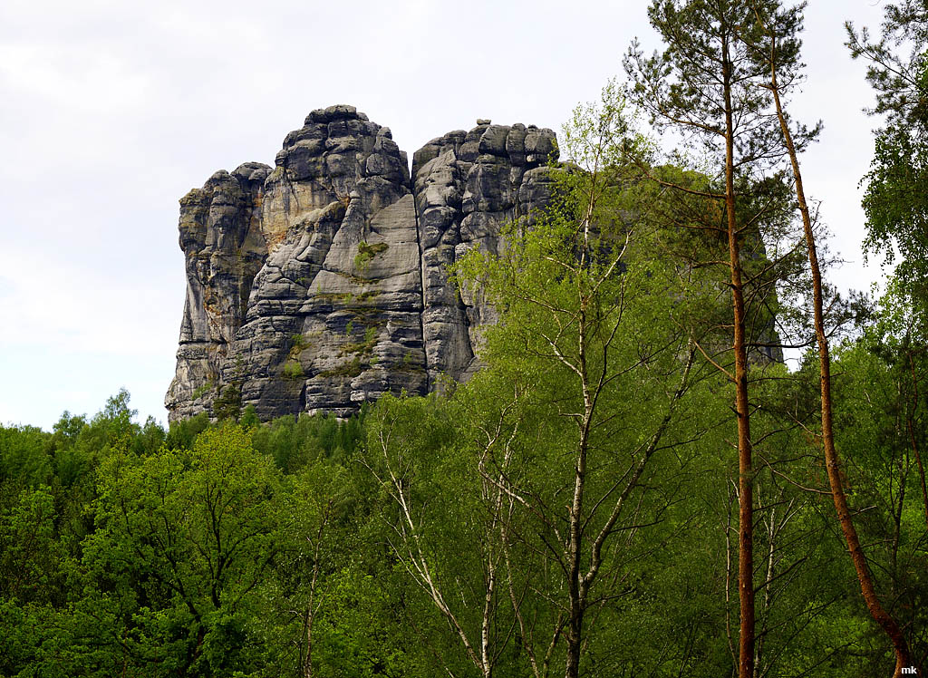 DSC 1712
