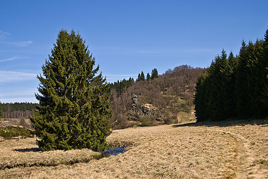 DSC 1717aa