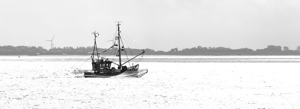 DSC 1730 DxO.1