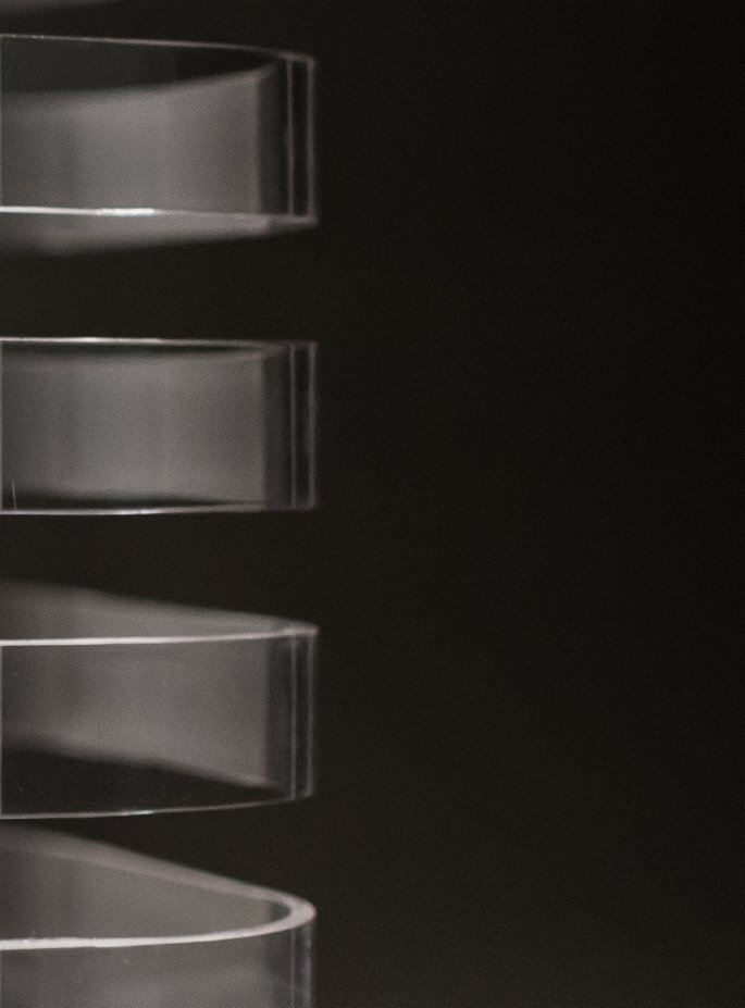 DSC 1737 a1