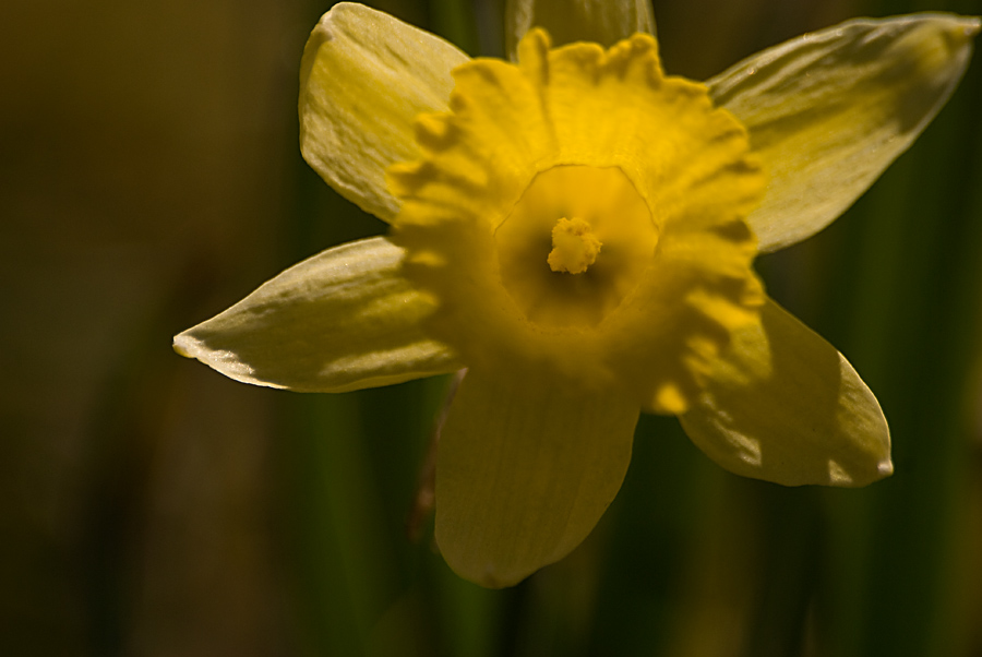 DSC 1773aa
