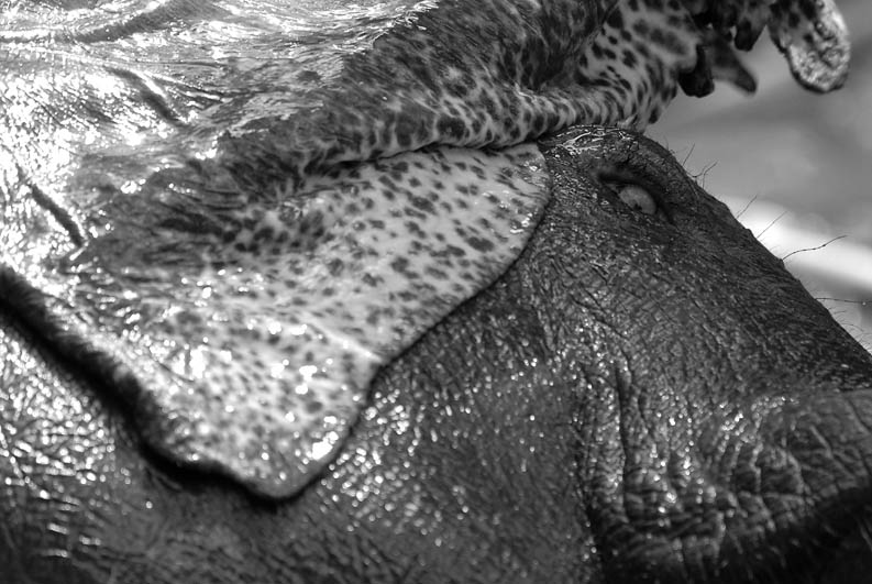 DSC 1837 sw