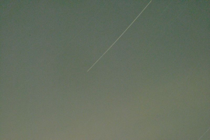 DSC 1900 800
