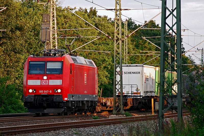 DSC 1909