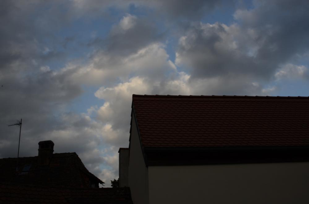 DSC 1926