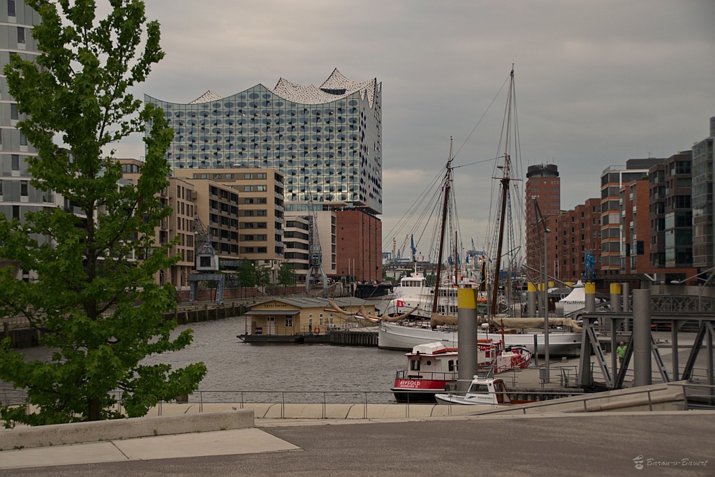 DSC 1932