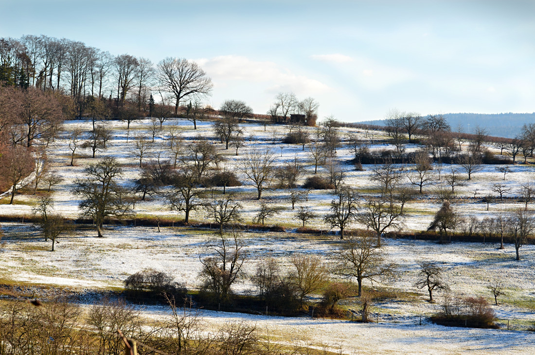 DSC 1944 Winter