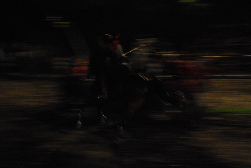 DSC 19530001 s
