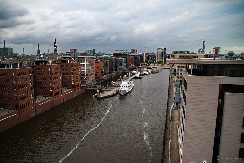 DSC 1954