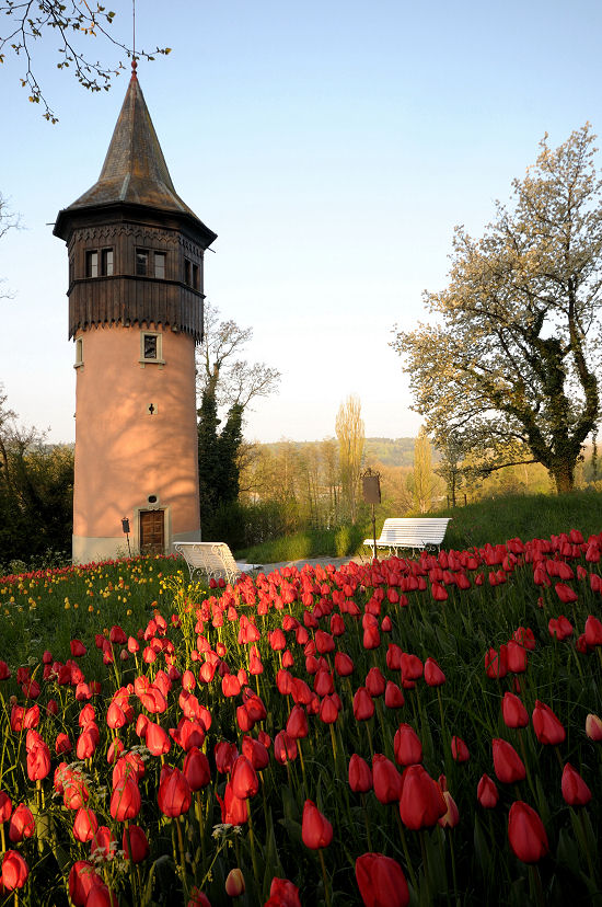 DSC 1957 Turm 2 Forum
