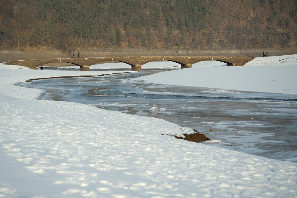 DSC 2008a