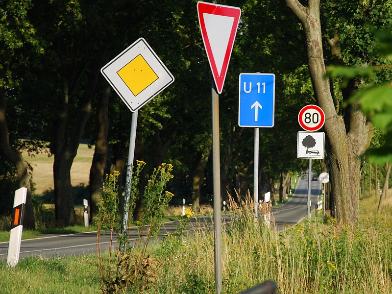 DSC 2072 bearbeitet 1