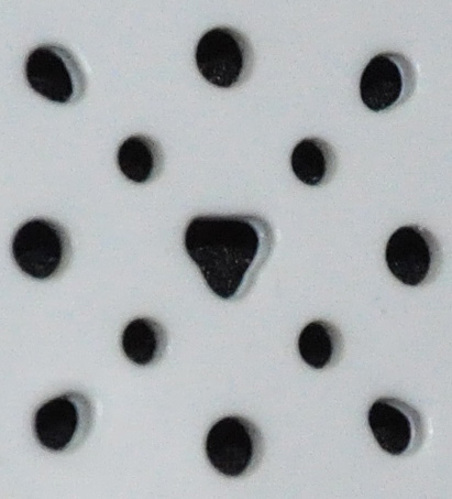 DSC 2088