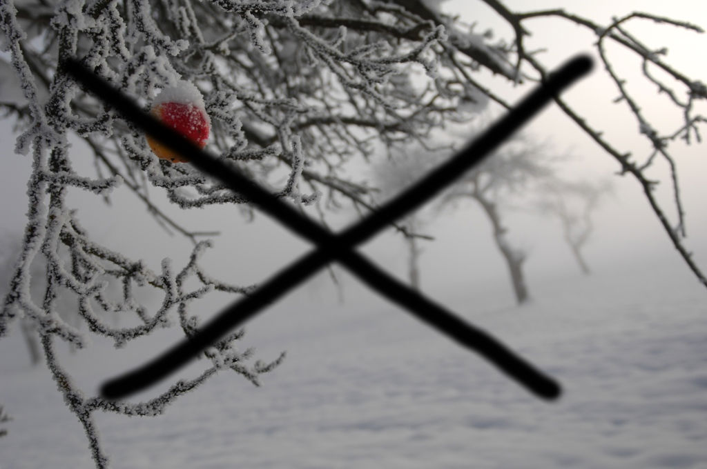 DSC 2090 canceled