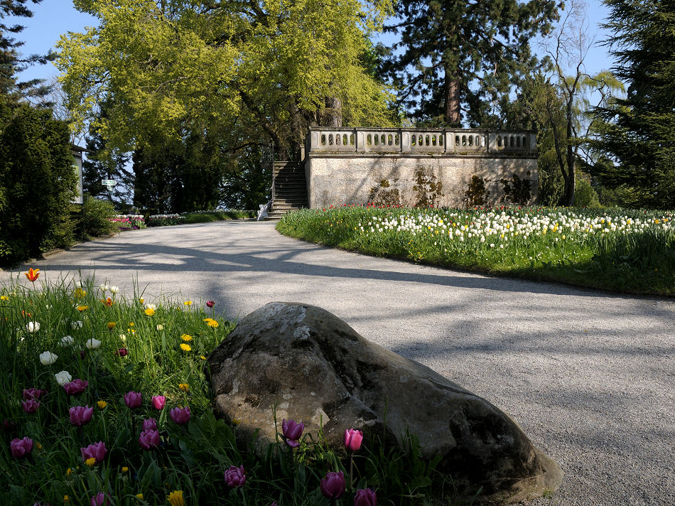 DSC 2108 Großherzog Friedrich Terasse Forum