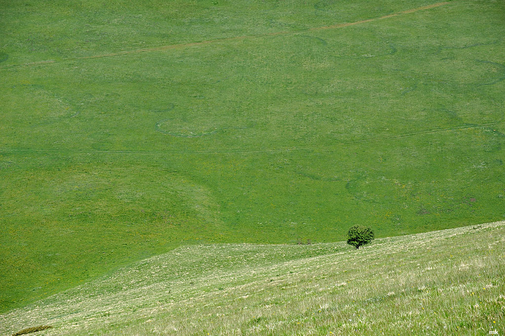 DSC 2125