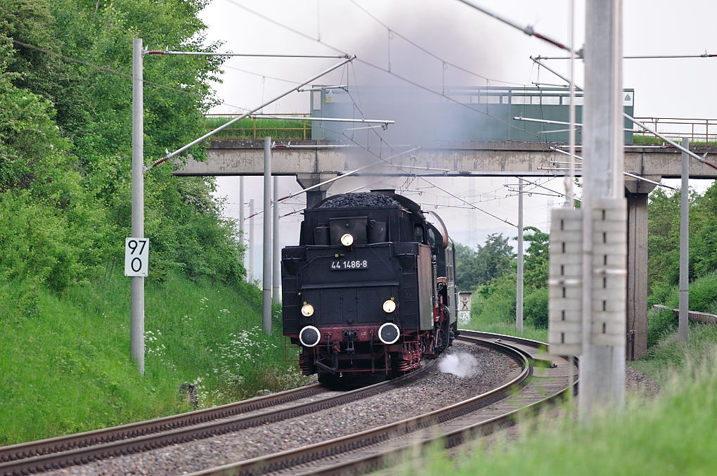 DSC 2131 44 1486 8
