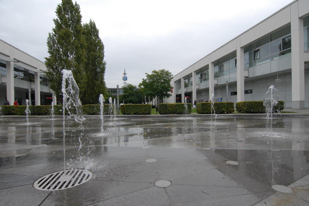 DSC 2137
