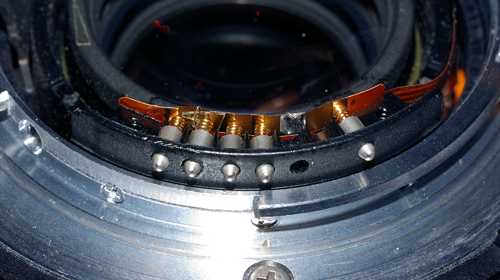 DSC 2204