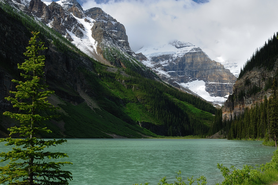 DSC 2221 NF-F
Lake Louise
Banff NP