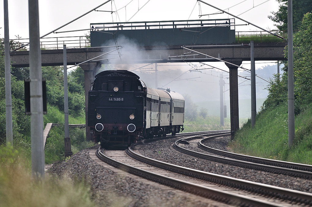 DSC 2229 44 1486 8