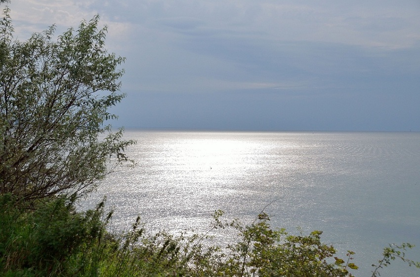 DSC 2252